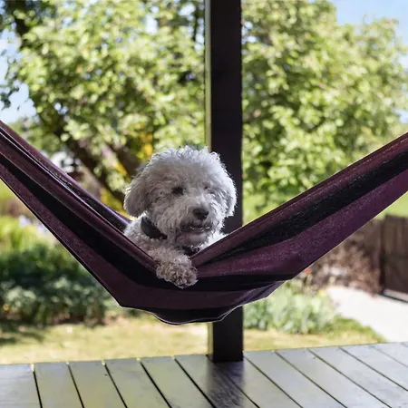 Nice To Host You - Dom W Rozanie Nad Narwia