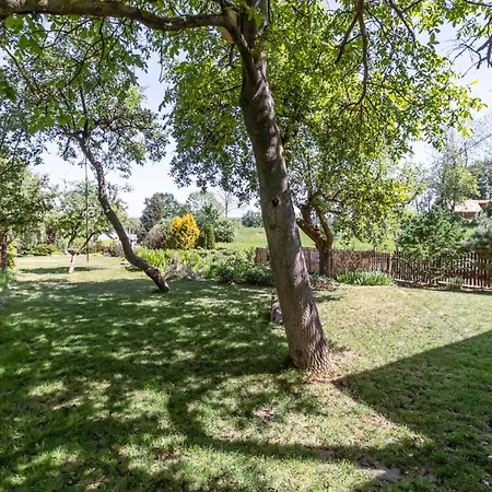 Nice To Host You - Dom W Rozanie Nad Narwia *